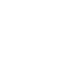 GitHub Organization